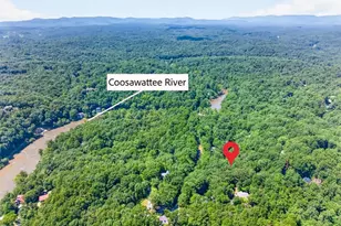 10 Esker Ct, Ellijay, GA 30540 - Photo 68
