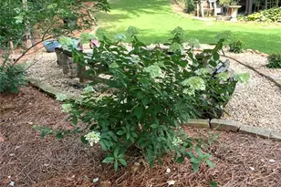 15 Brisbane Dr, Acworth, GA 30101 - Photo 100