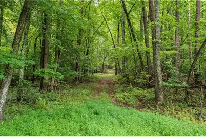 32 Raven Ridge, Mineral Bluff, GA 30559 - Photo 12