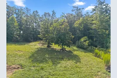 4061 Historic Old Highway 441, Clarkesville, GA 30523 - Photo 80
