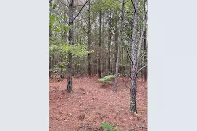 0 Spence Road, Fairburn, GA 30213 - Photo 4