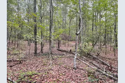 0 Spence Road, Fairburn, GA 30213 - Photo 10