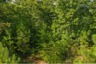 0 Harris Creek Drive, Ellijay, GA 30540 - Photo 18