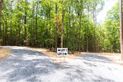 0 Roosevelt Hwy - Lot 2, Warm Springs, GA 31830 - Photo 4