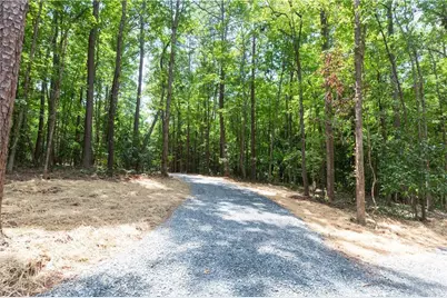 0 Roosevelt Hwy - Lot 1, Warm Springs, GA 31830 - Photo 4