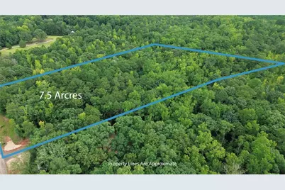0 Roosevelt Hwy - Lot 1, Warm Springs, GA 31830 - Photo 2