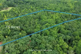 0 Roosevelt Hwy Lot 1, Warm Springs, GA 31830 - Photo 2