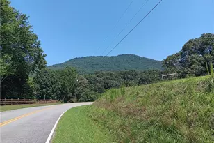 575 Turner Rd, Cleveland, GA 30528 - Photo 60