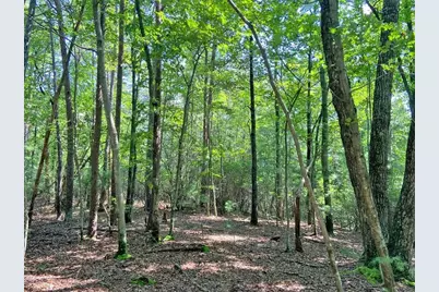 10.59 Ac, T S Jarrard Road, Dahlonega, GA 30533 - Photo 2