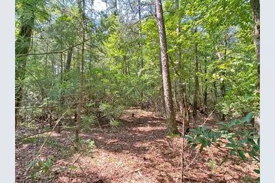 10.59 Ac, T S Jarrard Road, Dahlonega, GA 30533 - Photo 8