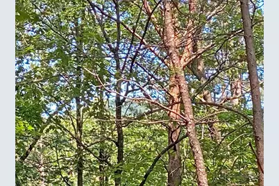 10.59 Ac, T S Jarrard Road, Dahlonega, GA 30533 - Photo 10
