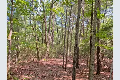 10.59 Ac, T S Jarrard Road, Dahlonega, GA 30533 - Photo 1