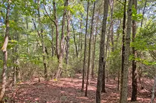 10 59 Ac T S Jarrard Rd, Dahlonega, GA 30533 - Photo 1