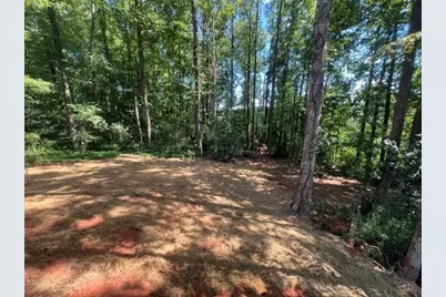 296 Stonington Drive, Mount Airy, GA 30563 - Photo 36