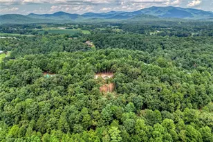 394 Blackberry Cir, Ellijay, GA 30536 - Photo 62