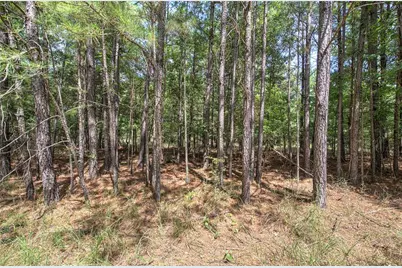 1298 Radio Springs Road SW, Rome, GA 30165 - Photo 10