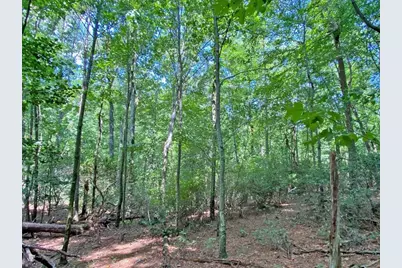 11Ac T S Jarrard Road, Dahlonega, GA 30533 - Photo 6