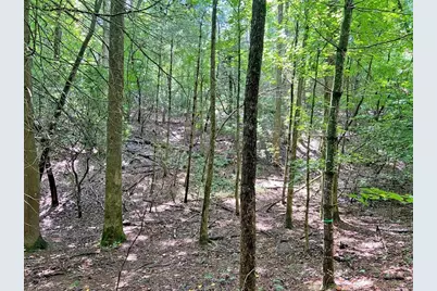 11Ac T S Jarrard Road, Dahlonega, GA 30533 - Photo 14