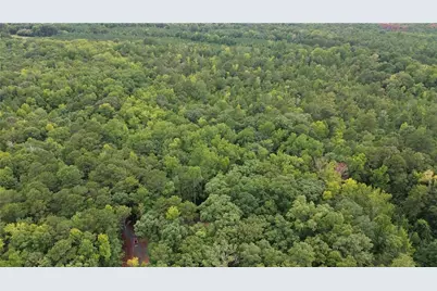 0 Roosevelt Hwy - 20.58 Acres, Warm Springs, GA 31830 - Photo 1