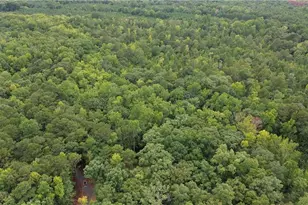 0 Roosevelt Hwy - 20 58 Acres, Warm Springs, GA 31830 - Photo 1