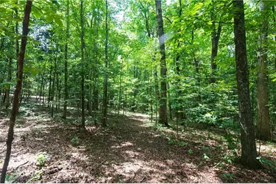 0 Roosevelt Hwy - 20.58 Acres, Warm Springs, GA 31830 - Photo 2