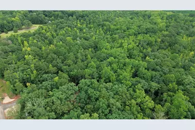 0 Roosevelt Hwy - 20.58 Acres, Warm Springs, GA 31830 - Photo 4