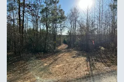 0 Luke Edwards Road, Dacula, GA 30019 - Photo 2
