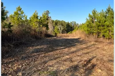 0 Luke Edwards Road, Dacula, GA 30019 - Photo 6