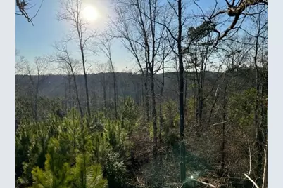 0 Luke Edwards Road, Dacula, GA 30019 - Photo 4