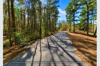00-0 Old White Mill Road, Fairburn, GA 30213 - Photo 4