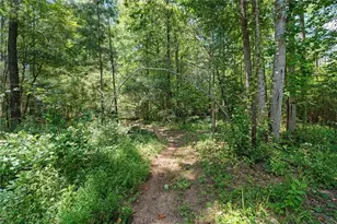5076 Bevis Rd, Franklin, GA 30217 - Photo 30