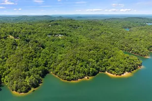 122 Zane Dr, Ellijay, GA 30540 - Photo 56