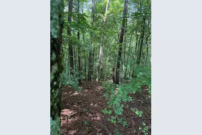 1707 Rebekah Ridge Road, Talking Rock, GA 30175 - Photo 8