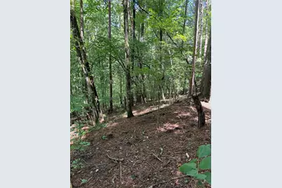 1707 Rebekah Ridge Road, Talking Rock, GA 30175 - Photo 6