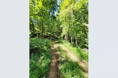 0 Deer Run Drive, Dahlonega, GA 30533 - Photo 6