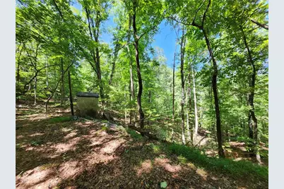 0 Deer Run Drive, Dahlonega, GA 30533 - Photo 22