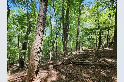 0 Deer Run Drive, Dahlonega, GA 30533 - Photo 20