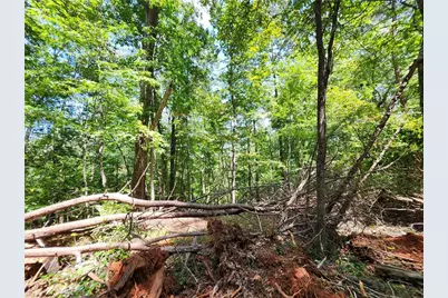 0 Deer Run Drive, Dahlonega, GA 30533 - Photo 16