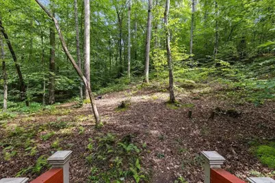 434 Lemmon Drive, Ellijay, GA 30540 - Photo 46