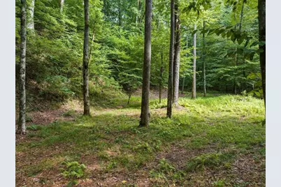 434 Lemmon Drive, Ellijay, GA 30540 - Photo 10