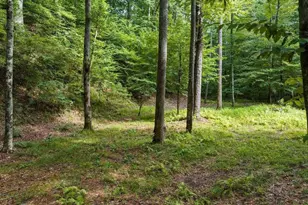 434 Lemmon Dr, Ellijay, GA 30540 - Photo 10