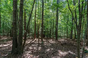 212 Overlook Wy, Carrollton, GA 30117 - Photo 48