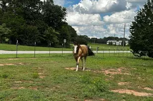 7643 Hwy 145, Carnesville, GA 30521 - Photo 62