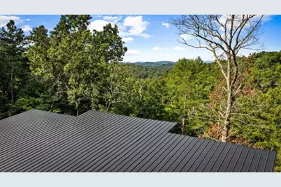 65 Wolf Creek Heights, Mineral Bluff, GA 30559 - Photo 64