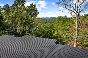65 Wolf Crk Hts, Mineral Bluff, GA 30559 - Photo 64