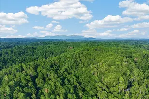 643 Woodstone Trl, Ellijay, GA 30540 - Photo 48