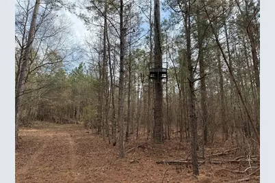 0 Hulmes Chapel Road, Elberton, GA 30635 - Photo 12