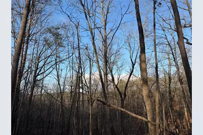 260 Arnold Road, Fairmount, GA 30139 - Photo 30