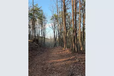 260 Arnold Road, Fairmount, GA 30139 - Photo 50