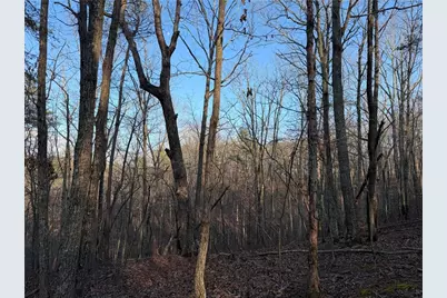 260 Arnold Road, Fairmount, GA 30139 - Photo 28